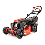 Kosiarka KS53SV-E z napędem | Cedrus