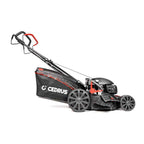 Kosiarka KS53S-H z napędem | Cedrus