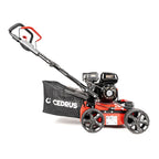 Wertykulator spalinowy 2w1 WR01 | Cedrus