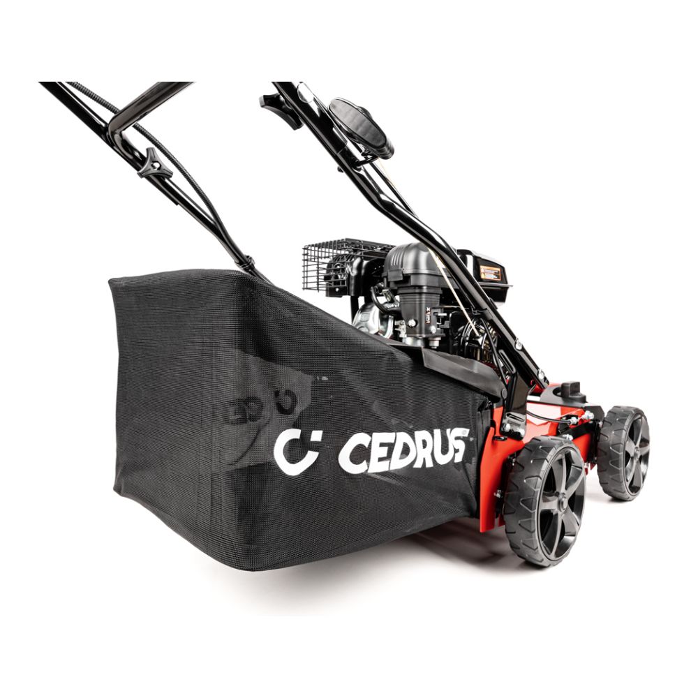 Wertykulator spalinowy 2w1 WR01 | Cedrus