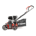 Wertykulator spalinowy 2w1 WR01 | Cedrus