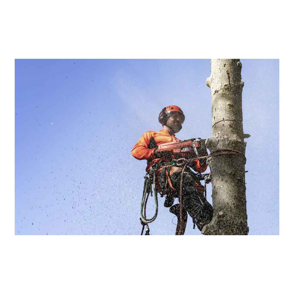 Pilarka łańcuchowa 550 XP® Mark II | Husqvarna