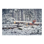 Pilarka łańcuchowa 560 XP® G Mark II | Husqvarna