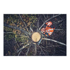 Pilarka łańcuchowa 562 XP® Mark II | Husqvarna